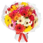 Букет из 25 разноцветных гербер