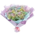 Гипсофилы радужный микс