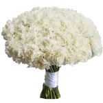 Гвоздики белые